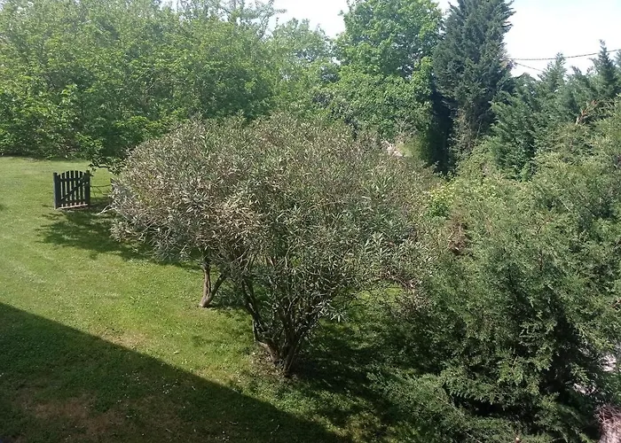 Michel Et Florence פיירהוראד